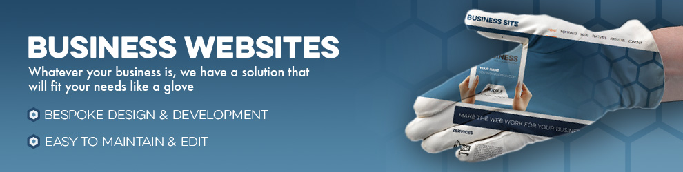 module web design business website solutions